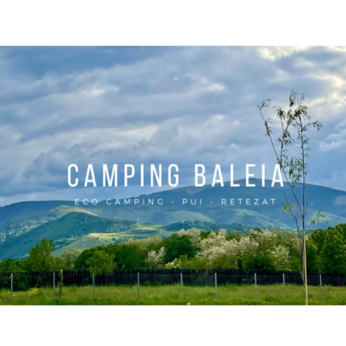 Camping Baleia