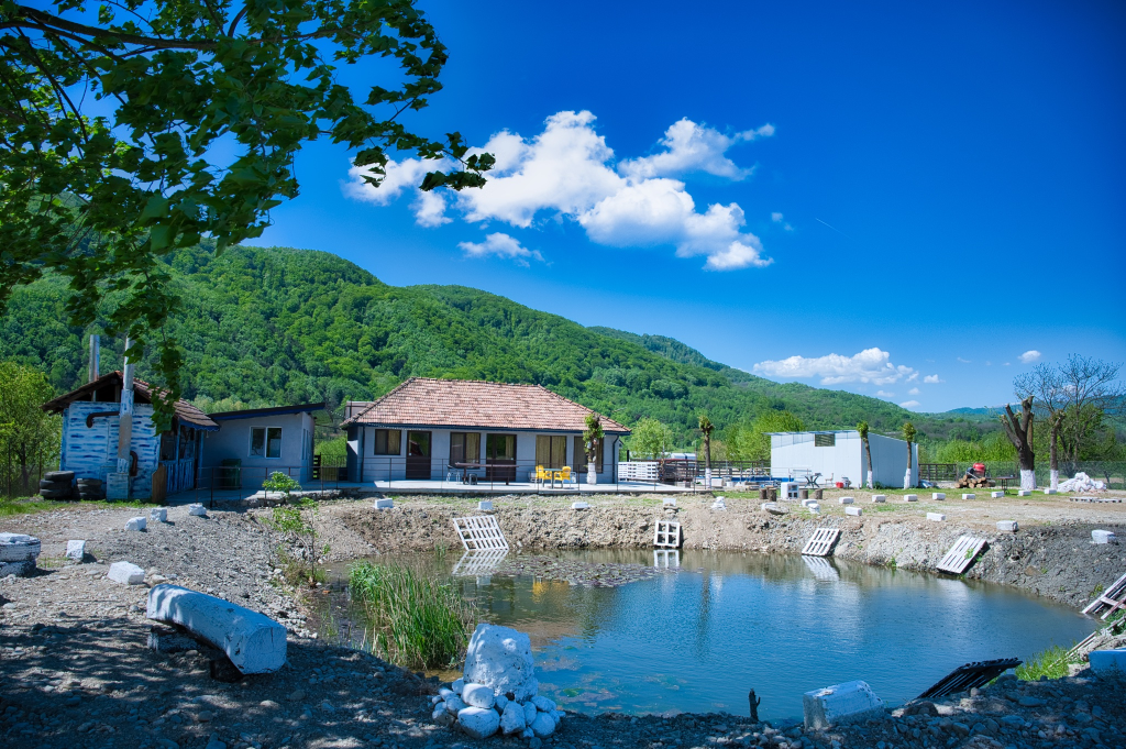 Camping Casuta dintre Ape Calimanesti