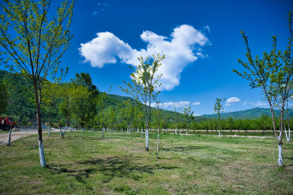 Camping Casuta dintre Ape Calimanesti