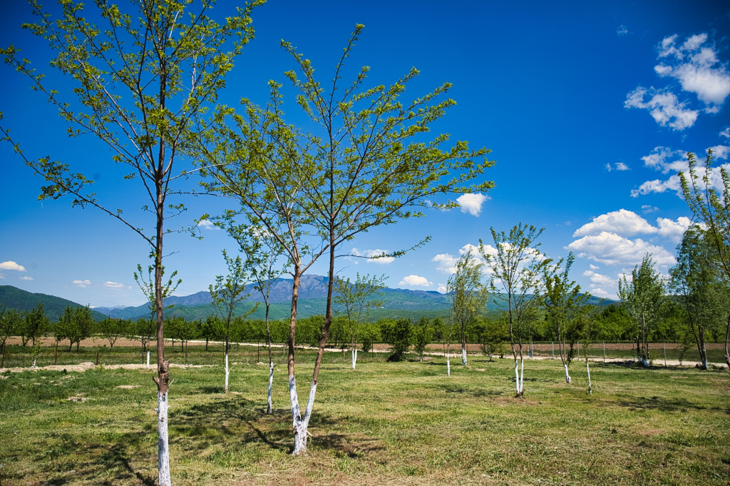Camping Casuta dintre Ape Calimanesti
