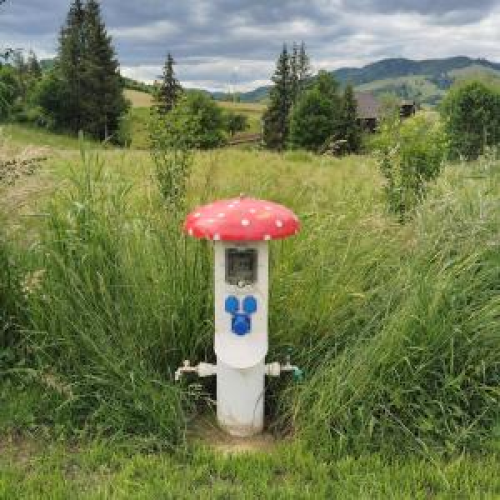 Camping Casutele Molidului