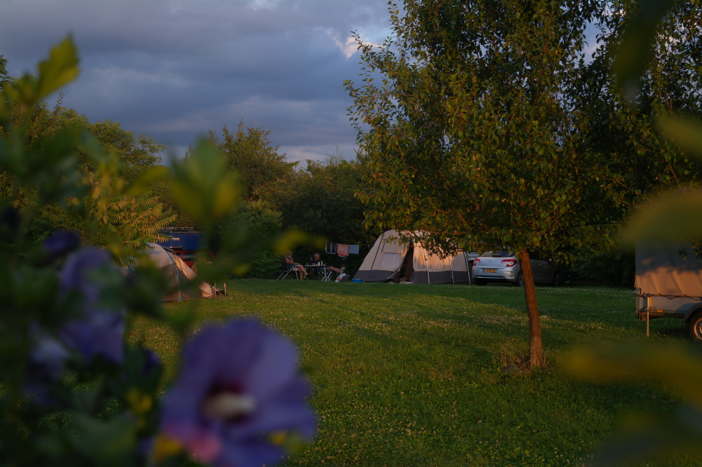 Camping de Oude Wilg (La Salcia Bătrână)