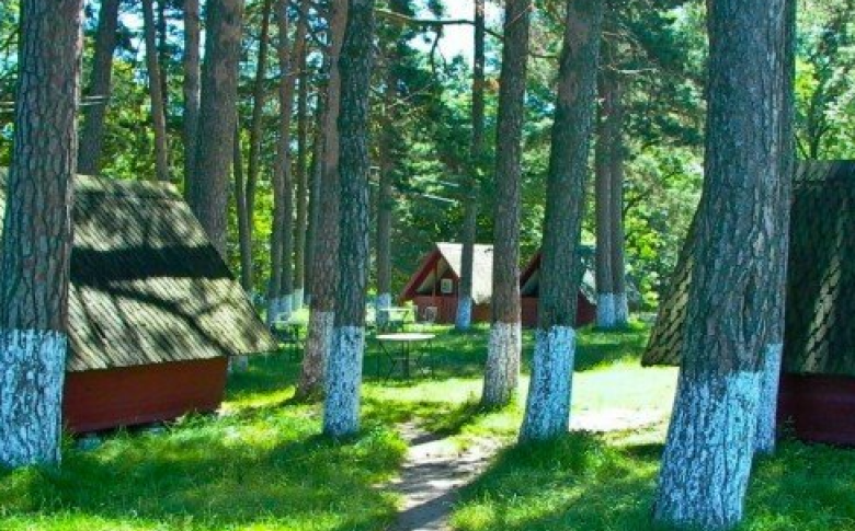 Camping Dragomirna Suceava
