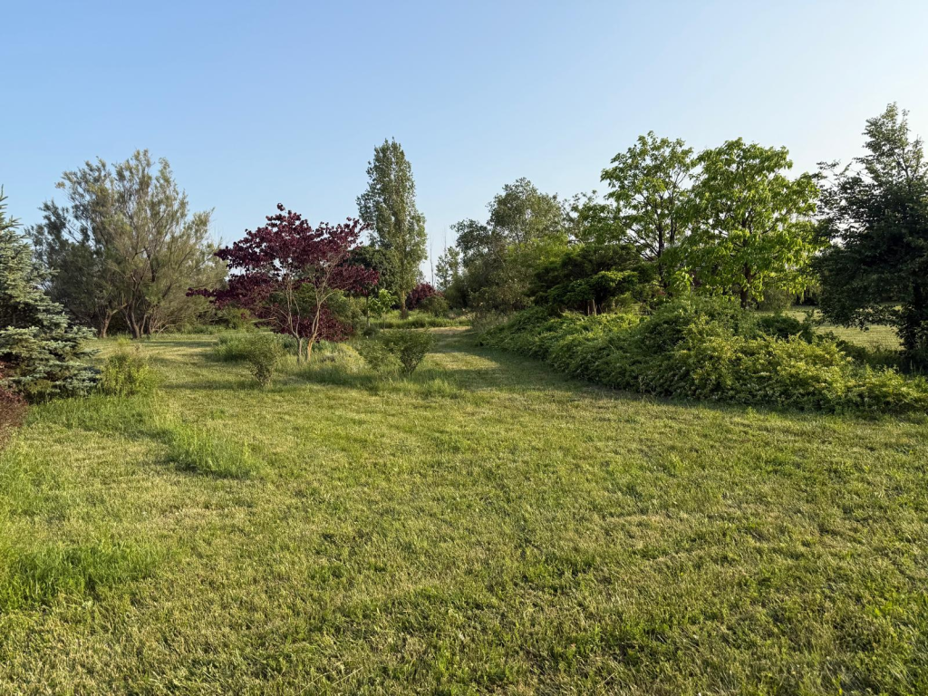Camping in Parc 