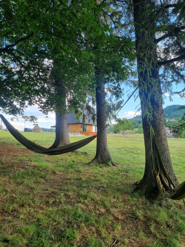 Deja View Cabin&Camp
