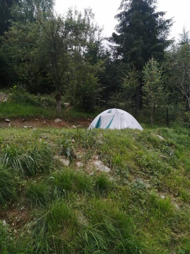 Pensiunea Camping Livia
