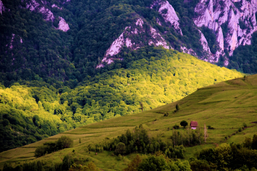 Camping Transylvania's Bear-Foot