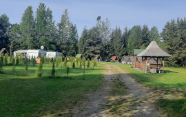 Camping 4