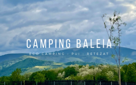 Camping Baleia