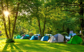 Camping Bucuresti Belvedere