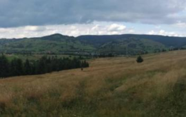 Camping Casutele Molidului