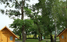 Camping Popasul Trei Stejari